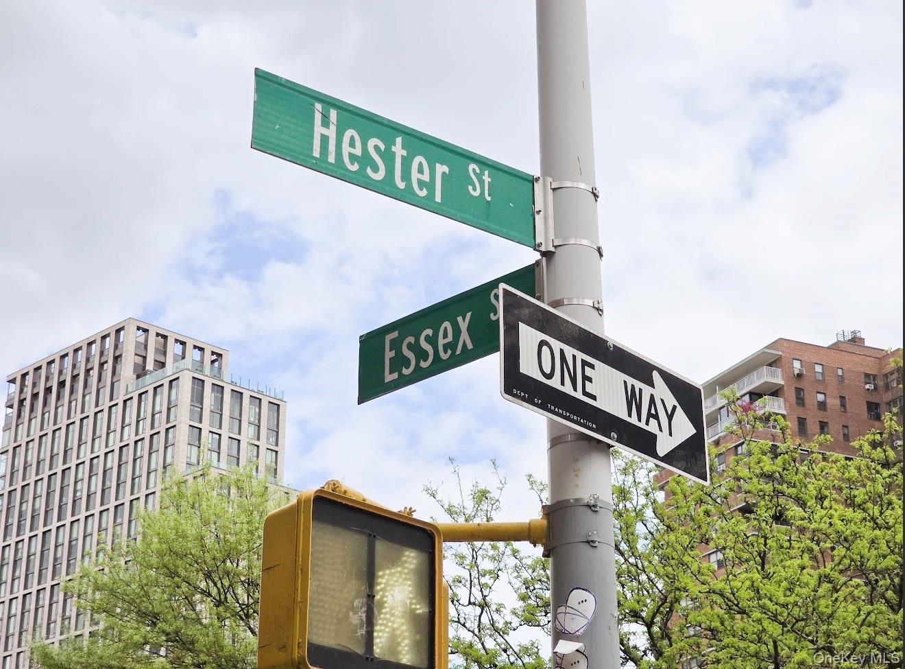 Condo Hester  Manhattan, NY 10002, MLS-990165-2