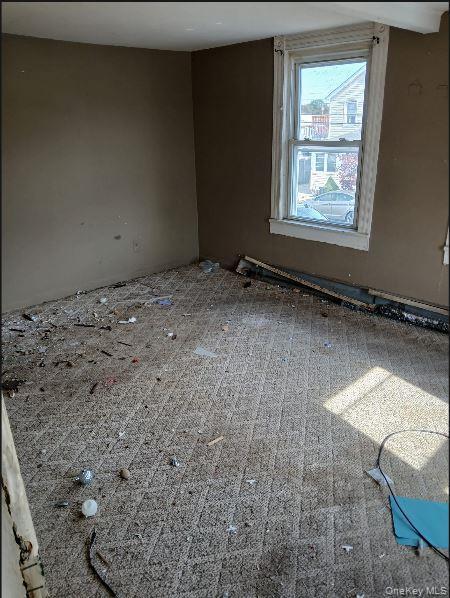 Single Family Max  Nassau County, NY 11801, MLS-990167-7