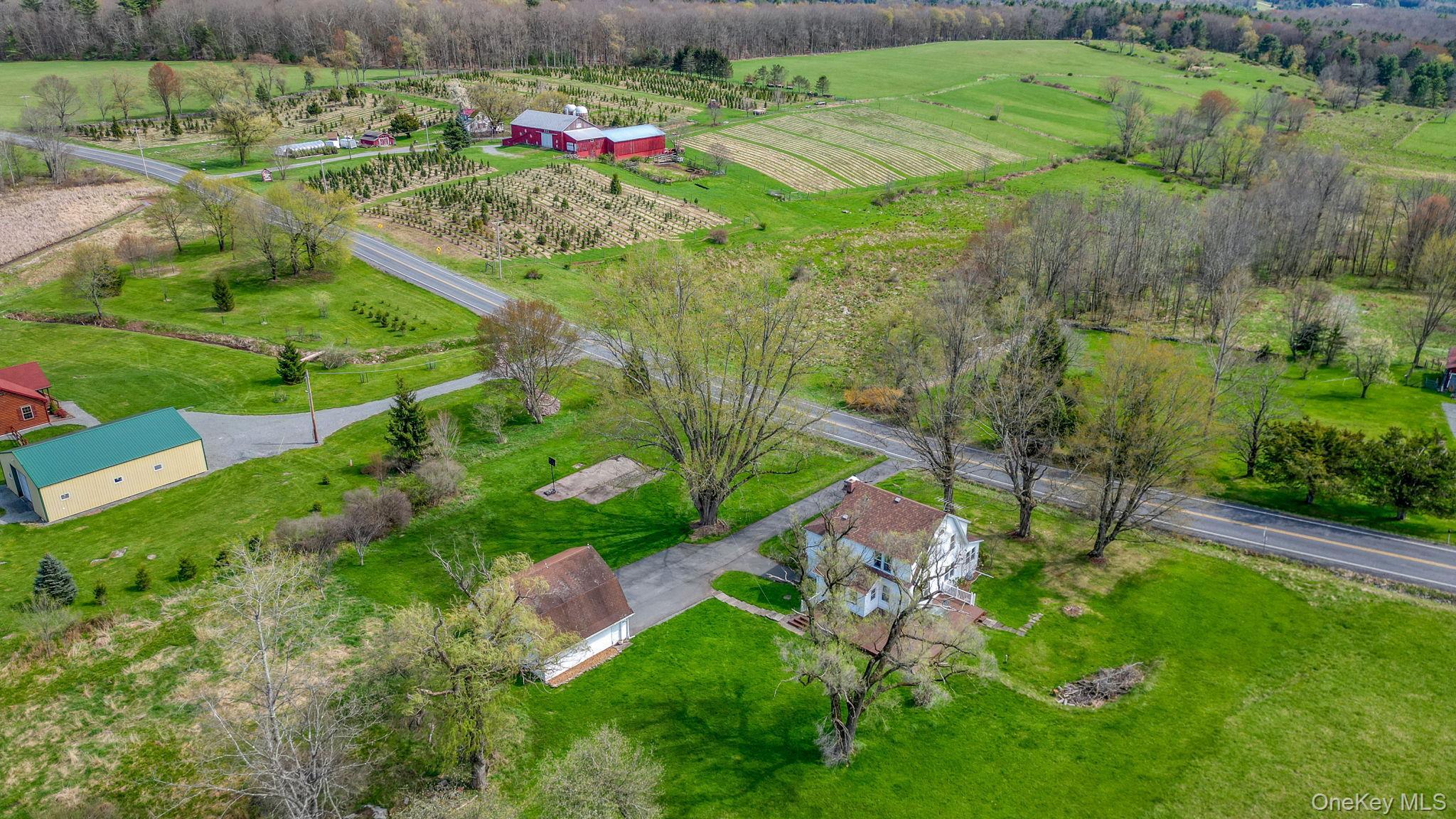 Single Family County Road 114  Sullivan County, NY 12726, MLS-990202-4