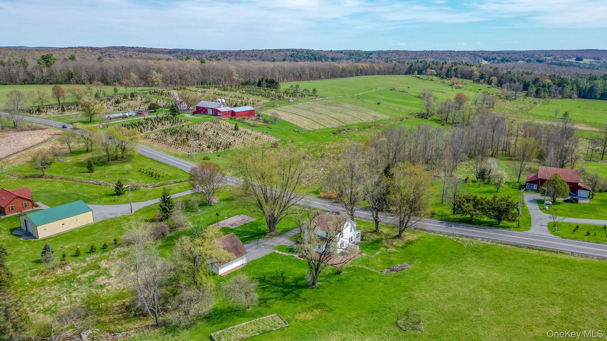 Single Family County Road 114  Sullivan County, NY 12726, MLS-990202-5