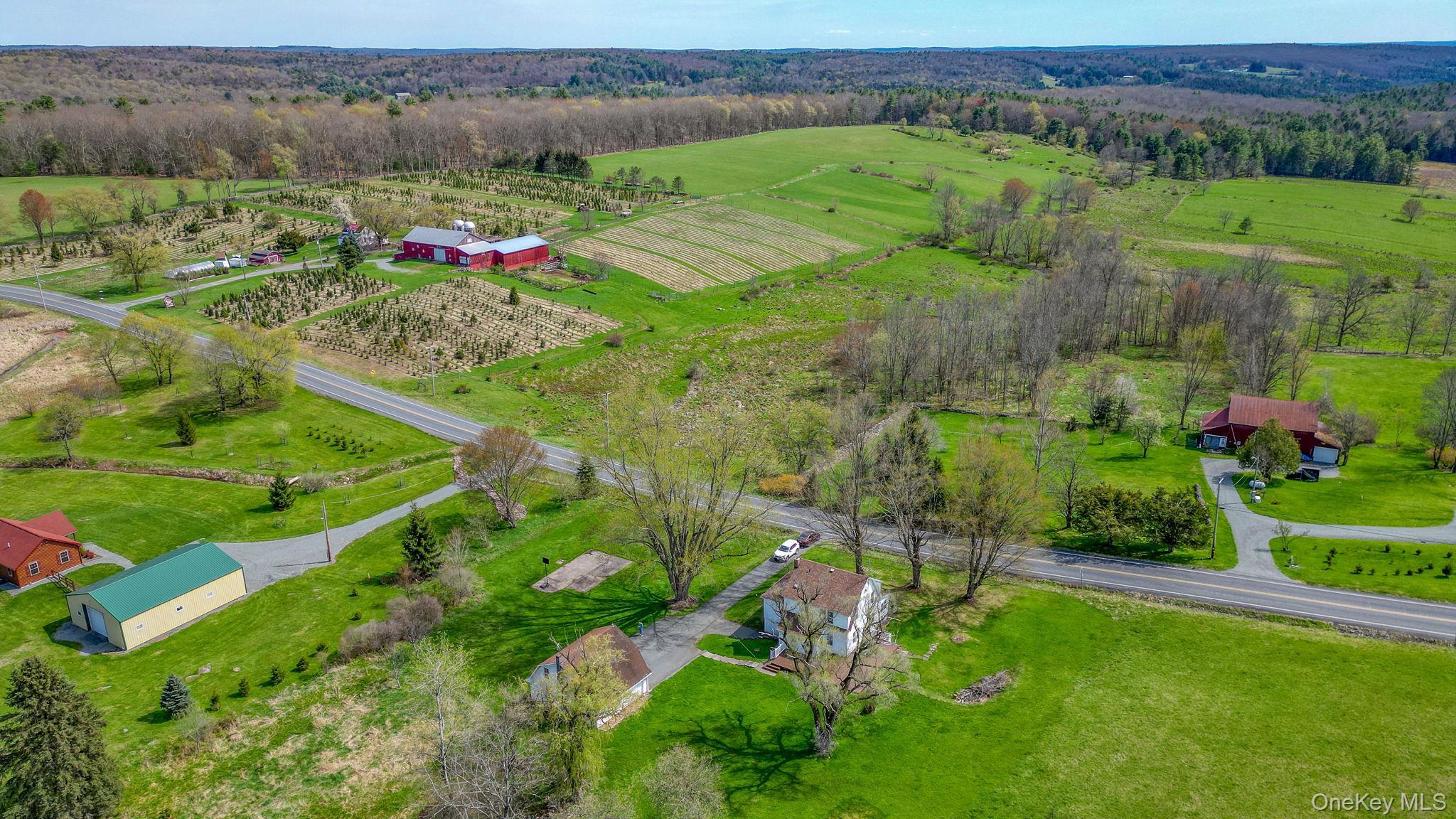 Single Family County Road 114  Sullivan County, NY 12726, MLS-990202-9