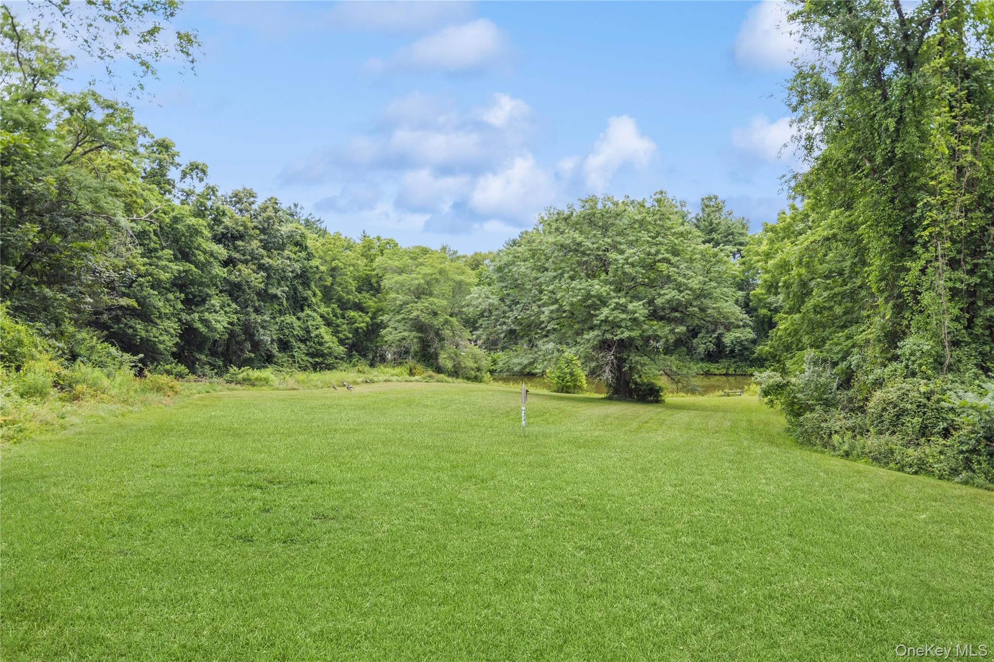 Single Family Widmer Dutchess County, NY 12590, MLS-990233-38