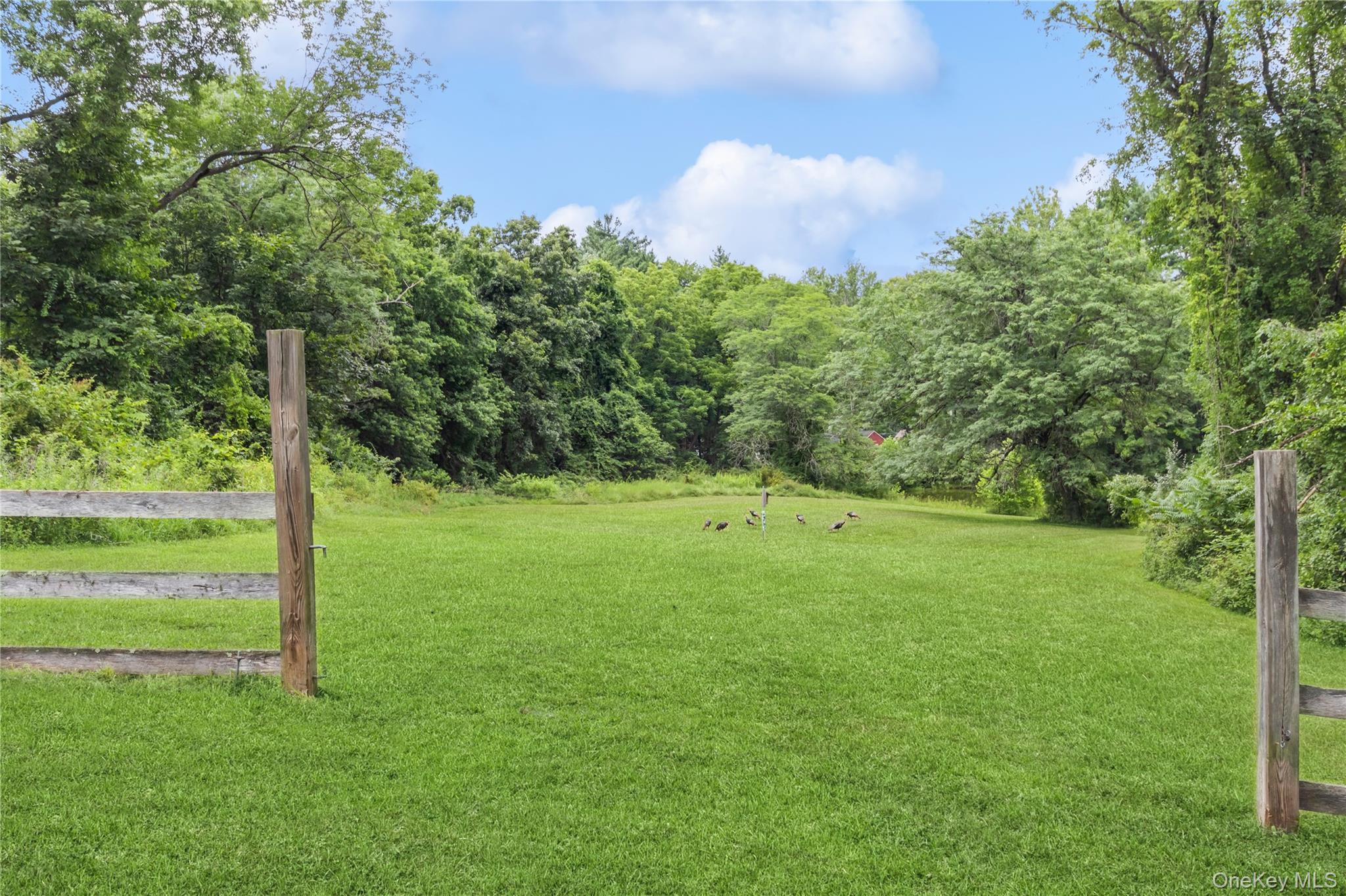 Single Family Widmer  Dutchess County, NY 12590, MLS-990233-45