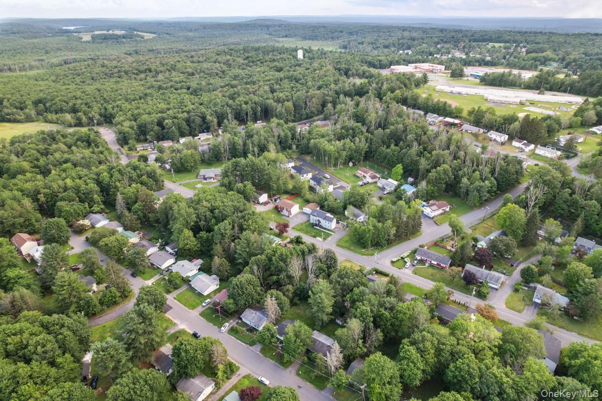 Single Family Park  Sullivan County, NY 12701, MLS-990251-41