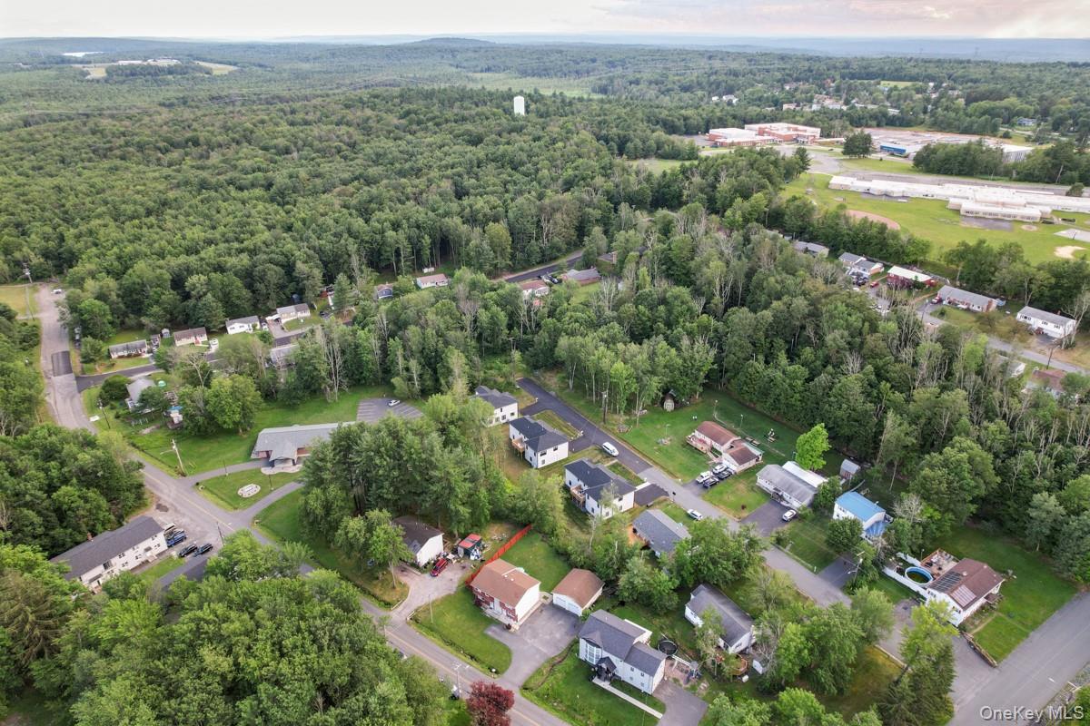 Single Family Park  Sullivan County, NY 12701, MLS-990251-42