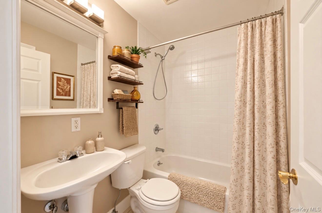 Single Family Juniper Valley Road  Queens, NY 11379, MLS-990256-41