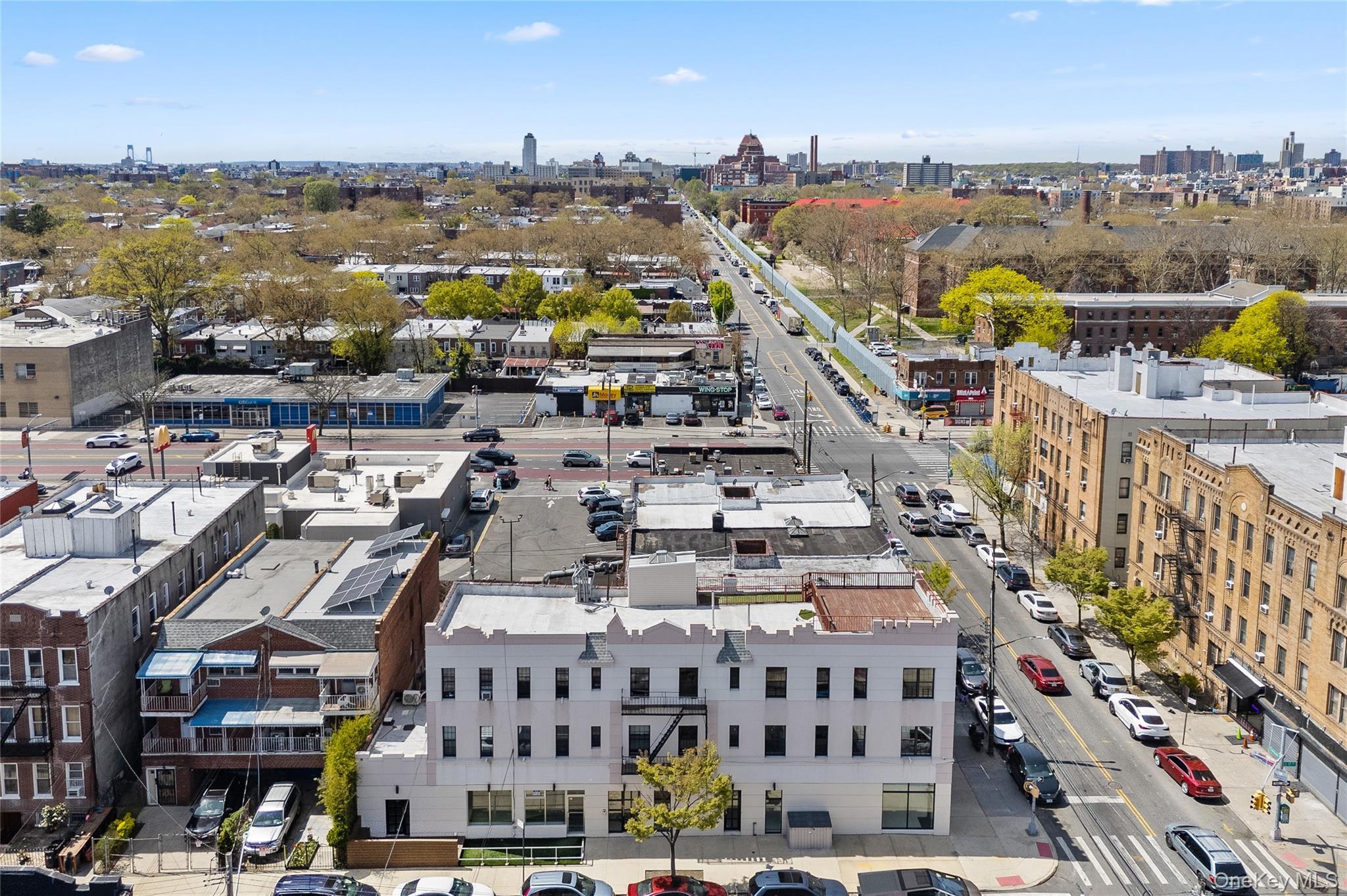 Single Family Clarkson Ave  Brooklyn, NY 11203, MLS-990289-2