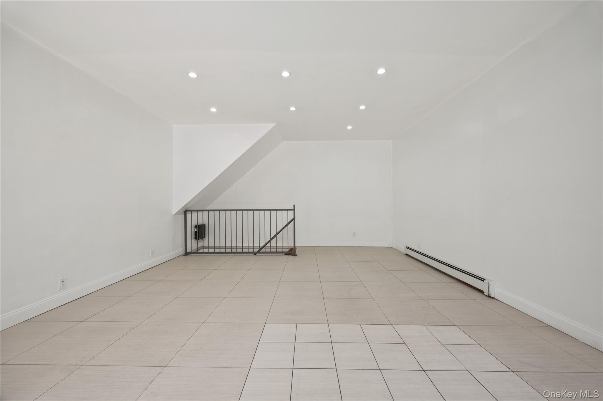 Single Family Clarkson Ave  Brooklyn, NY 11203, MLS-990289-26
