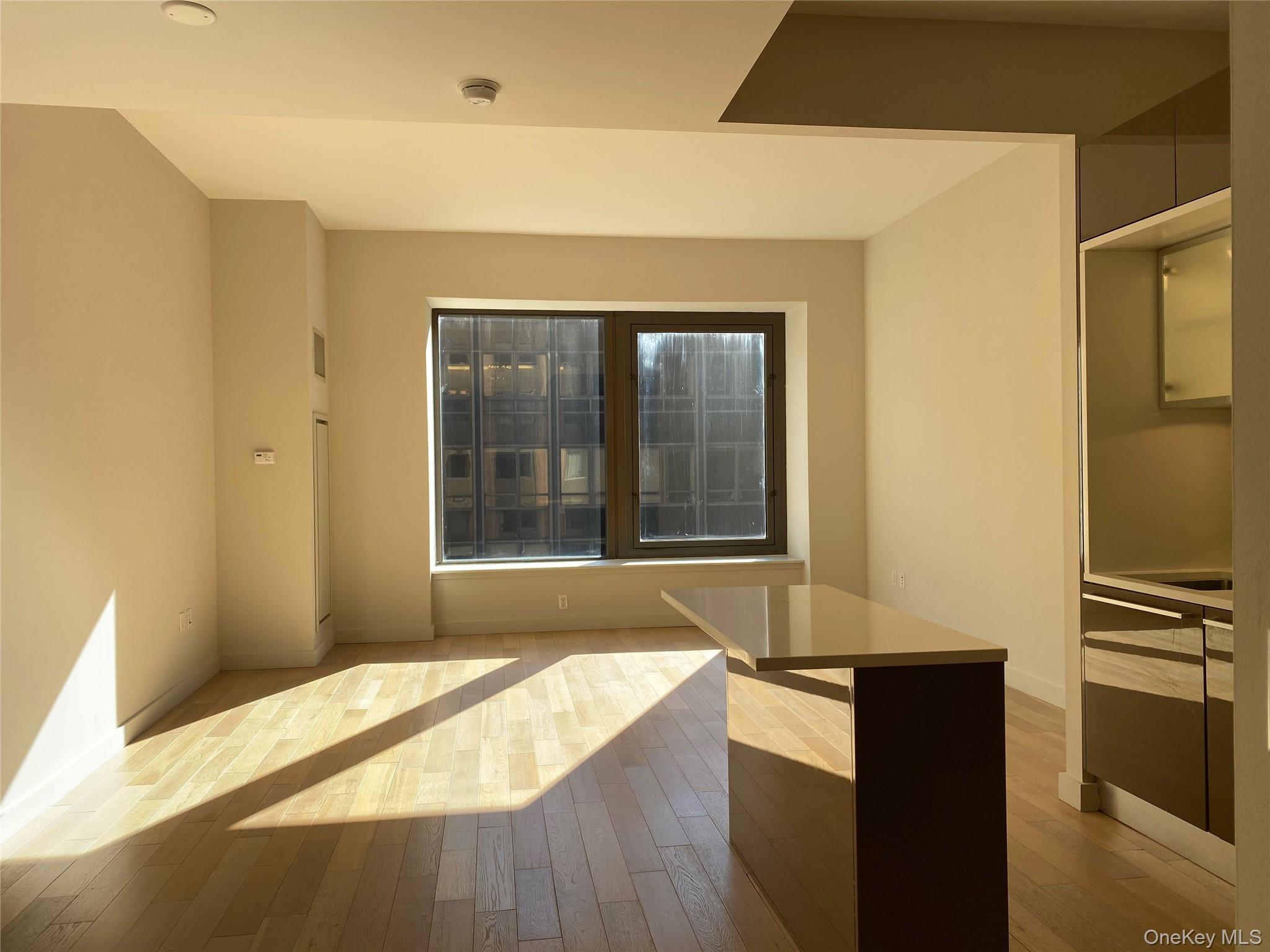 Condo Wall  Manhattan, NY 10005, MLS-990299-8