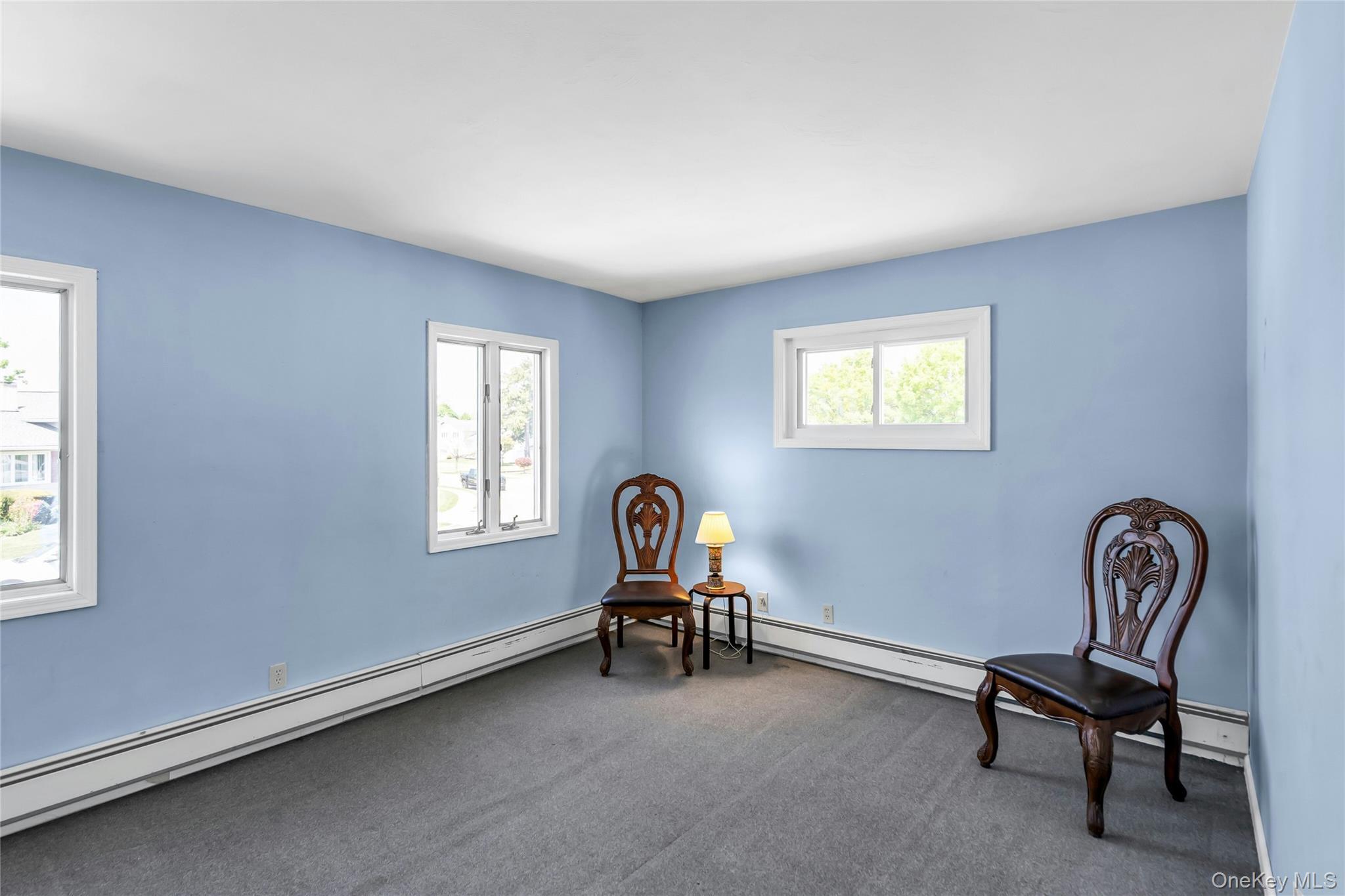 Single Family Peachtree Lane  Nassau County, NY 11801, MLS-990344-12