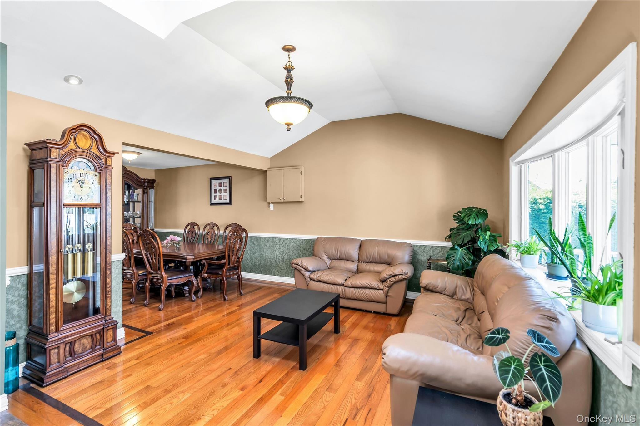 Single Family Peachtree Lane  Nassau County, NY 11801, MLS-990344-4