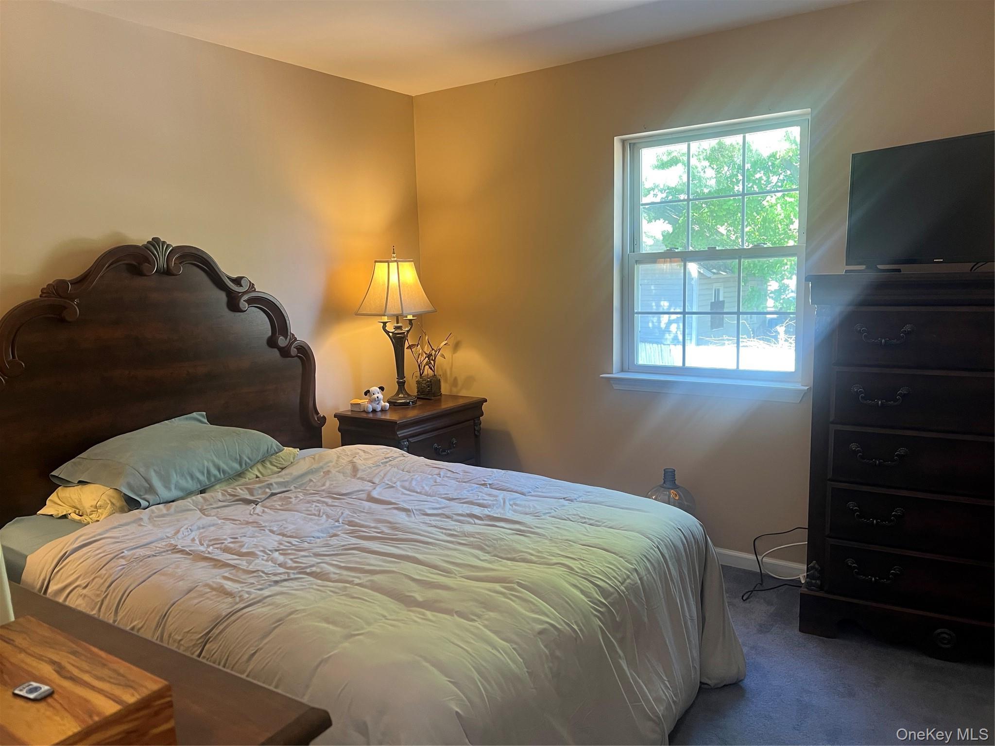 Single Family Excelsior  Orange County, NY 10940, MLS-990351-28