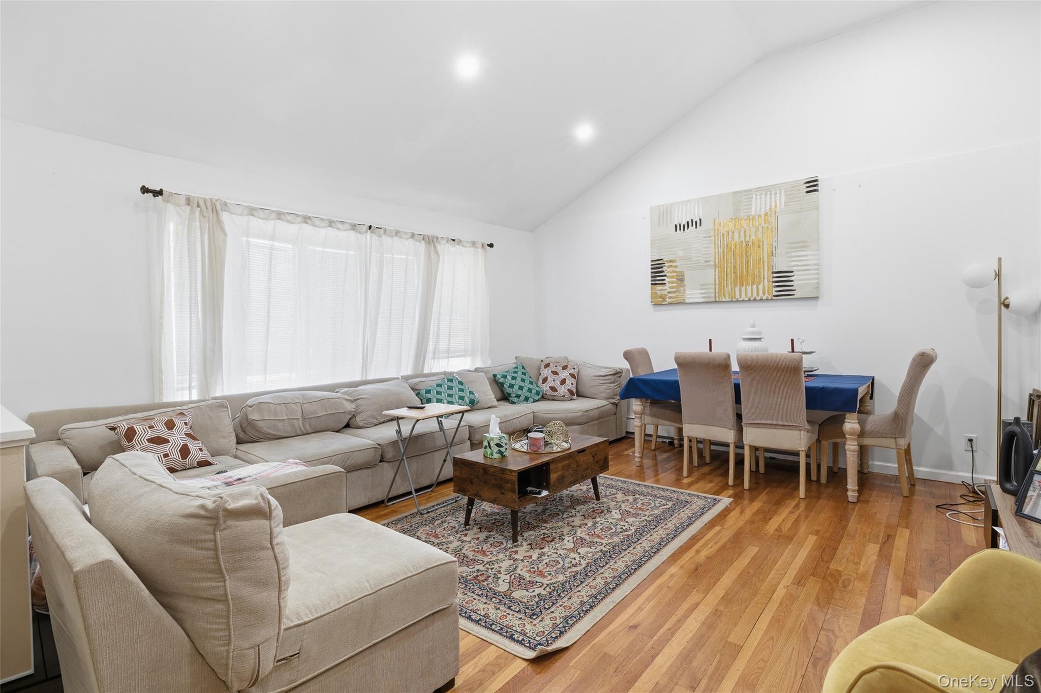 Single Family Edwards Boulevard Nassau County, NY 11580, MLS-990374-3
