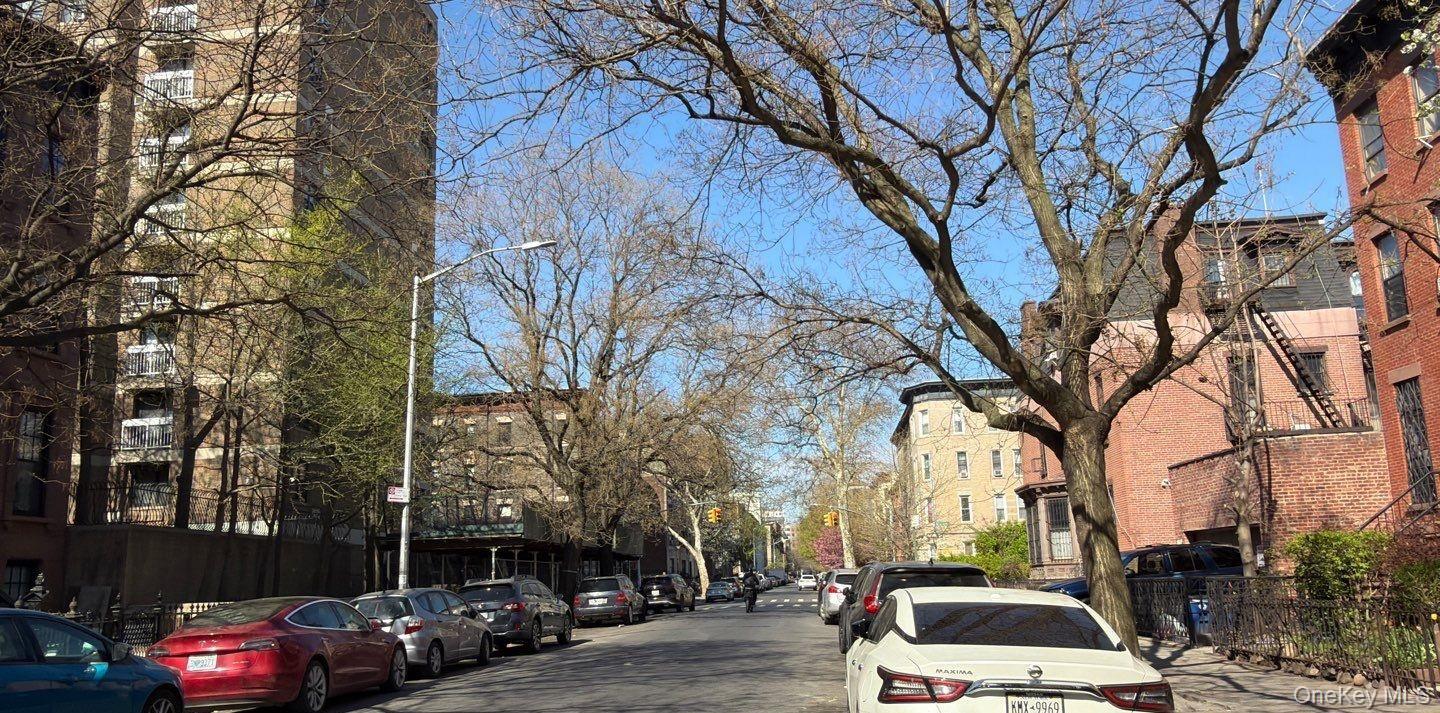 Single Family Pacific Brooklyn, NY 11216, MLS-990385-3