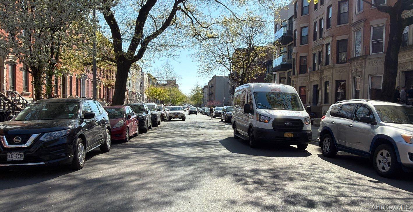 Single Family Pacific  Brooklyn, NY 11216, MLS-990385-4