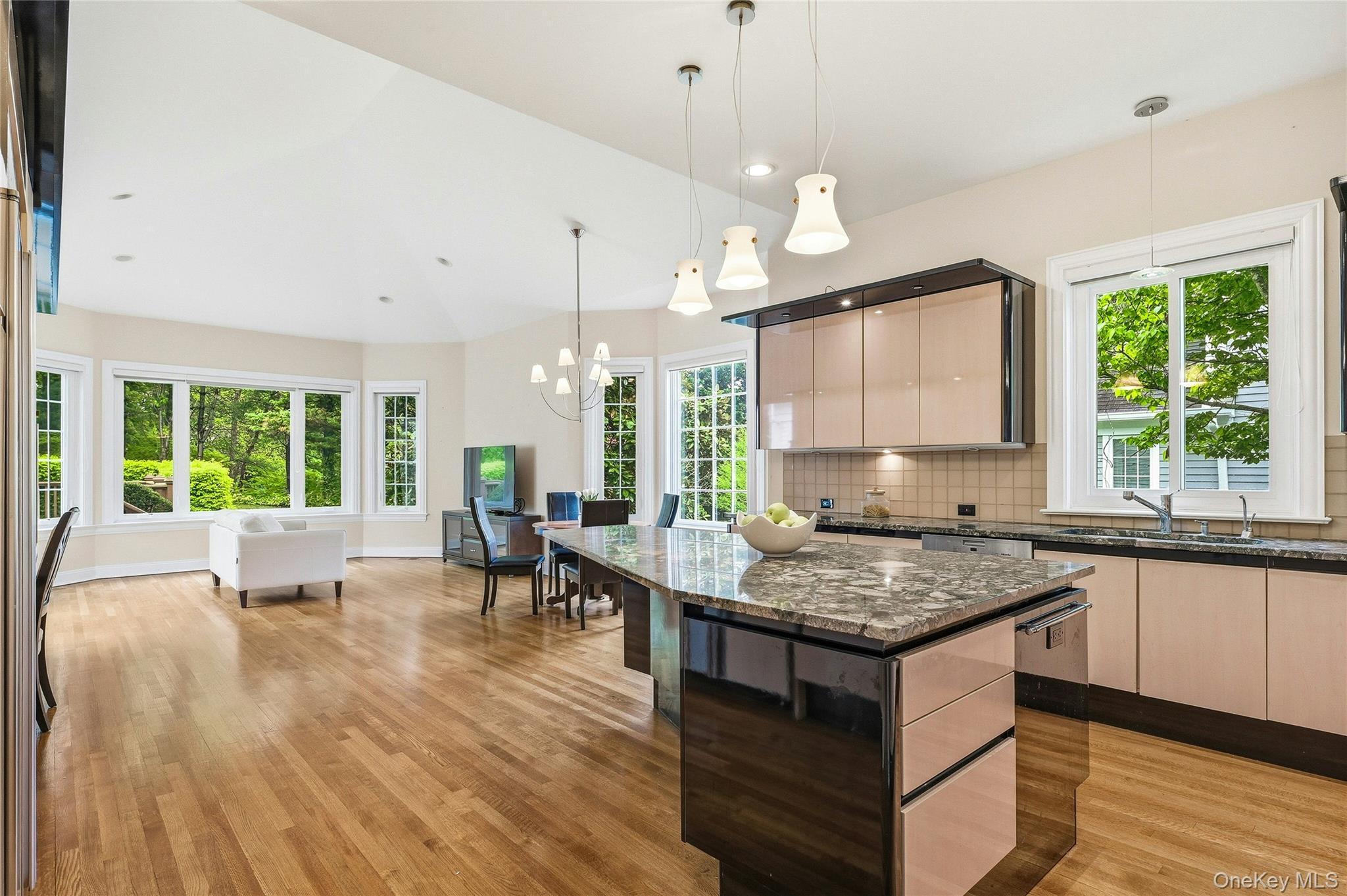 Single Family Evergreen Circle  Nassau County, NY 11030, MLS-990416-15