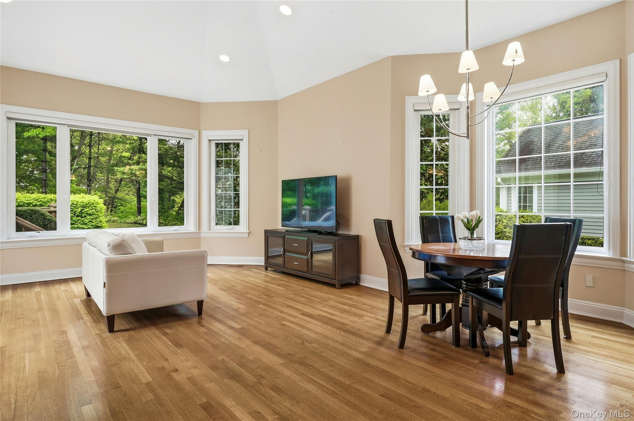 Single Family Evergreen Circle  Nassau County, NY 11030, MLS-990416-18