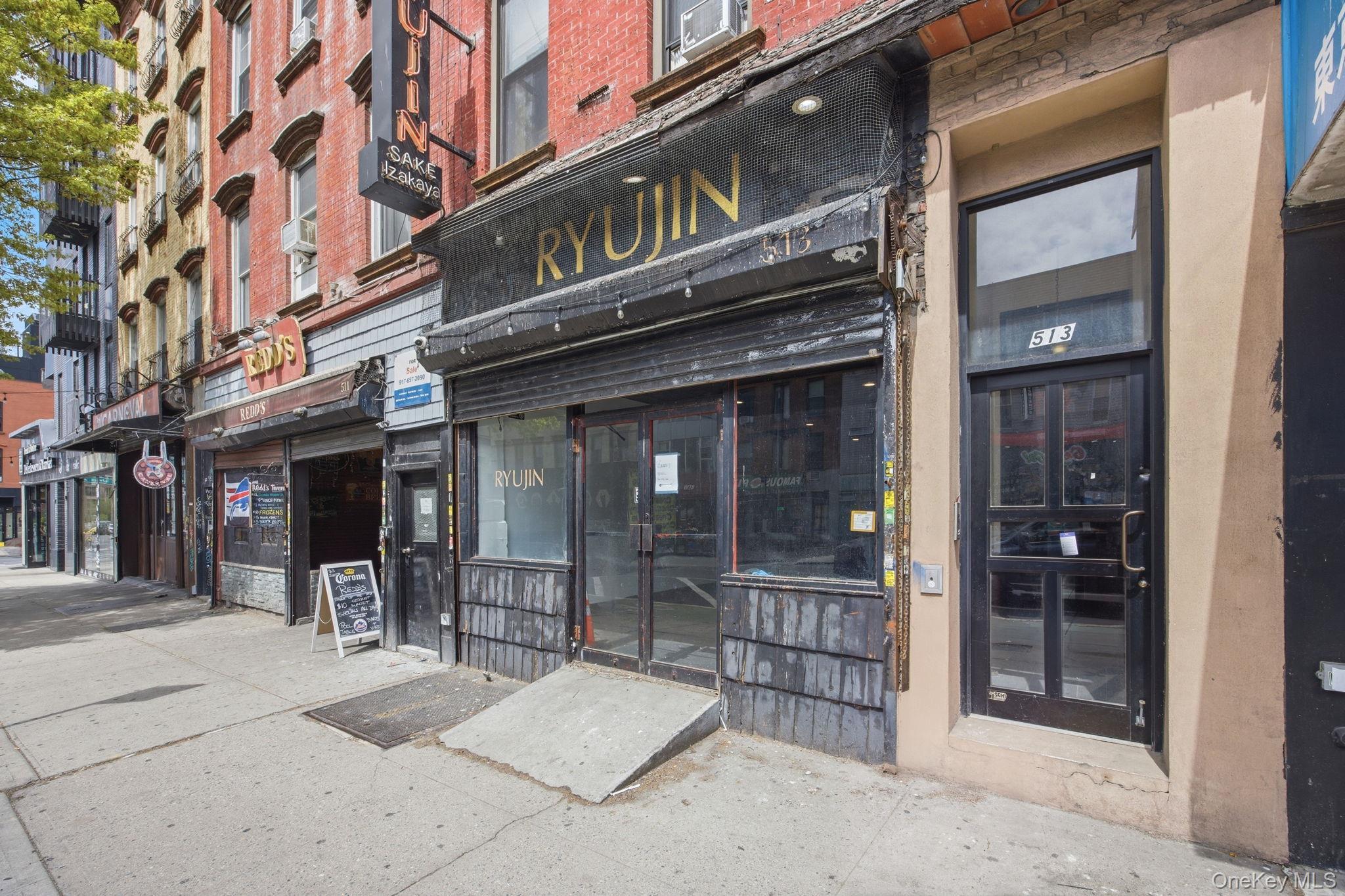 Single Family Grand  Brooklyn, NY 11211, MLS-990423-3