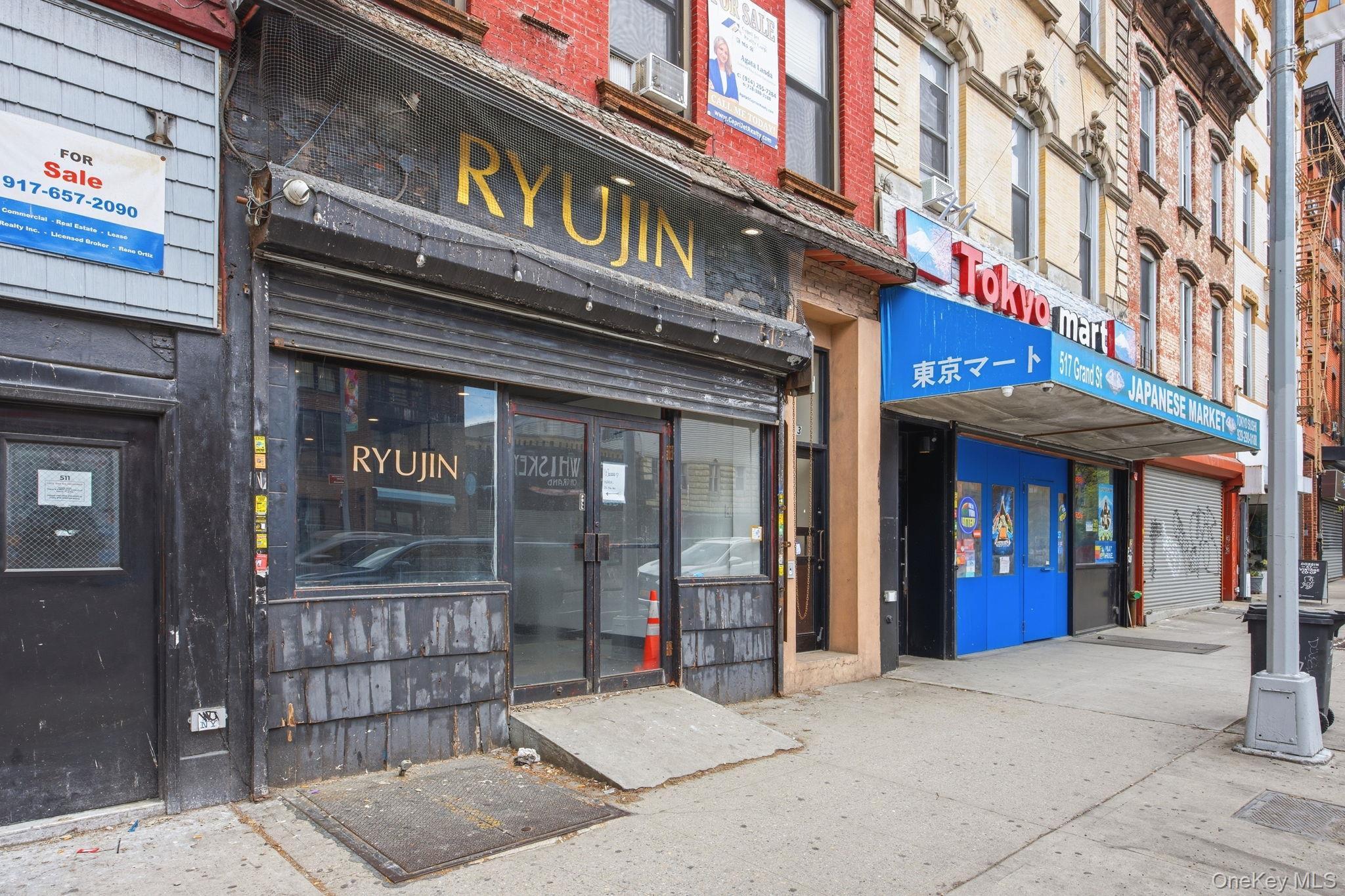 Single Family Grand  Brooklyn, NY 11211, MLS-990423-5