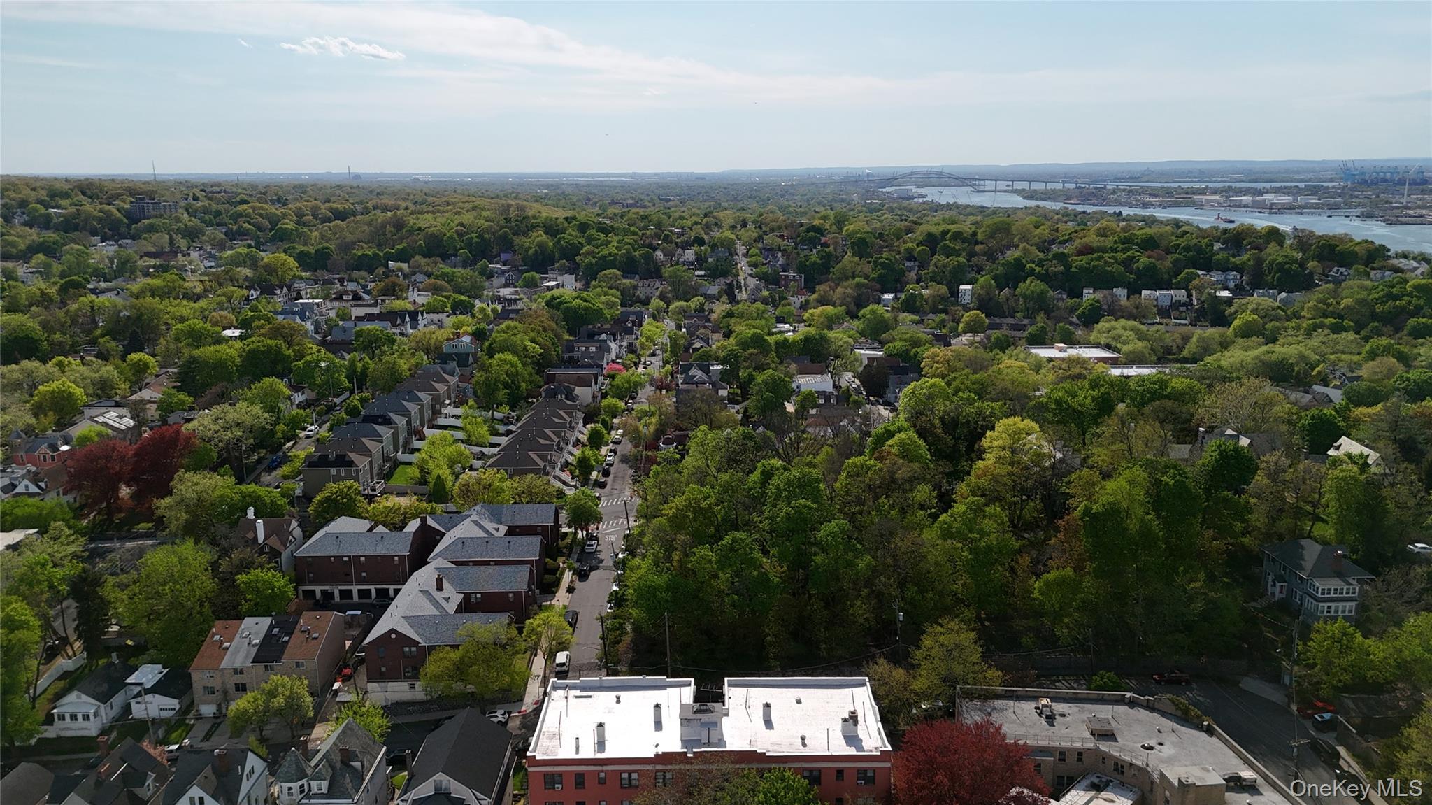 Single Family Daniel Low Ter  Staten Island, NY 10301, MLS-990524-4