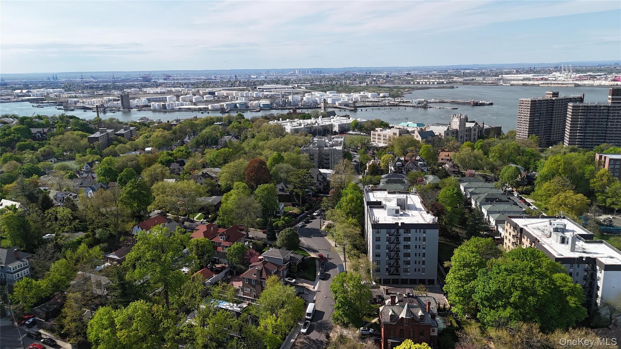 Single Family Daniel Low Ter  Staten Island, NY 10301, MLS-990524-5