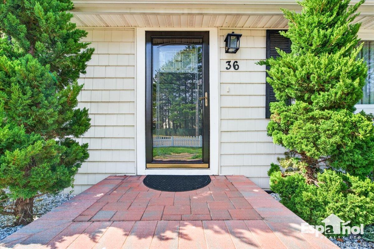Single Family Ronald  Suffolk County, NY 11701, MLS-990542-6