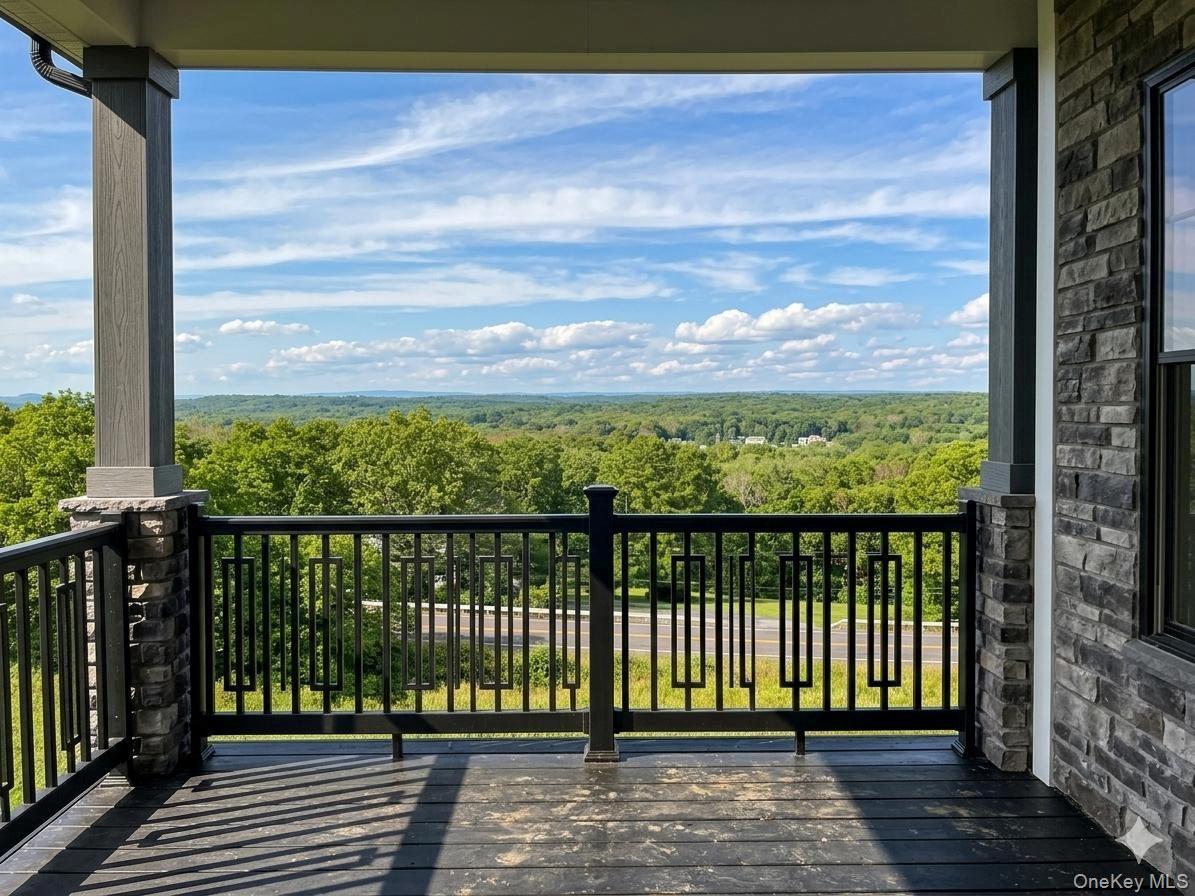 Single Family Mountain Road  Orange County, NY 12771, MLS-990552-4