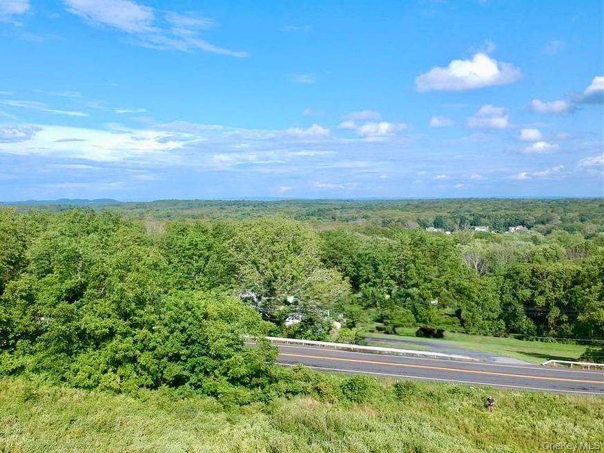 Single Family Mountain Road  Orange County, NY 12771, MLS-990552-5