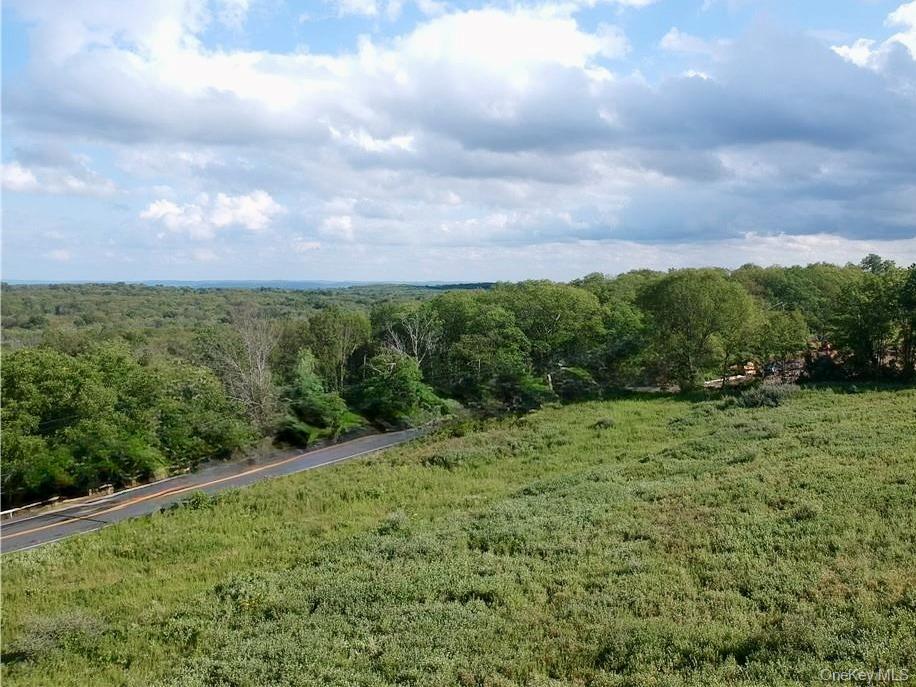 Single Family Mountain Road  Orange County, NY 12771, MLS-990552-6