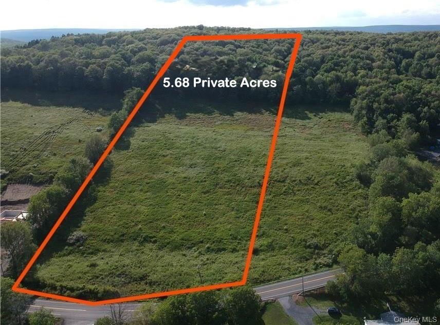 Single Family Mountain Road  Orange County, NY 12771, MLS-990552-7