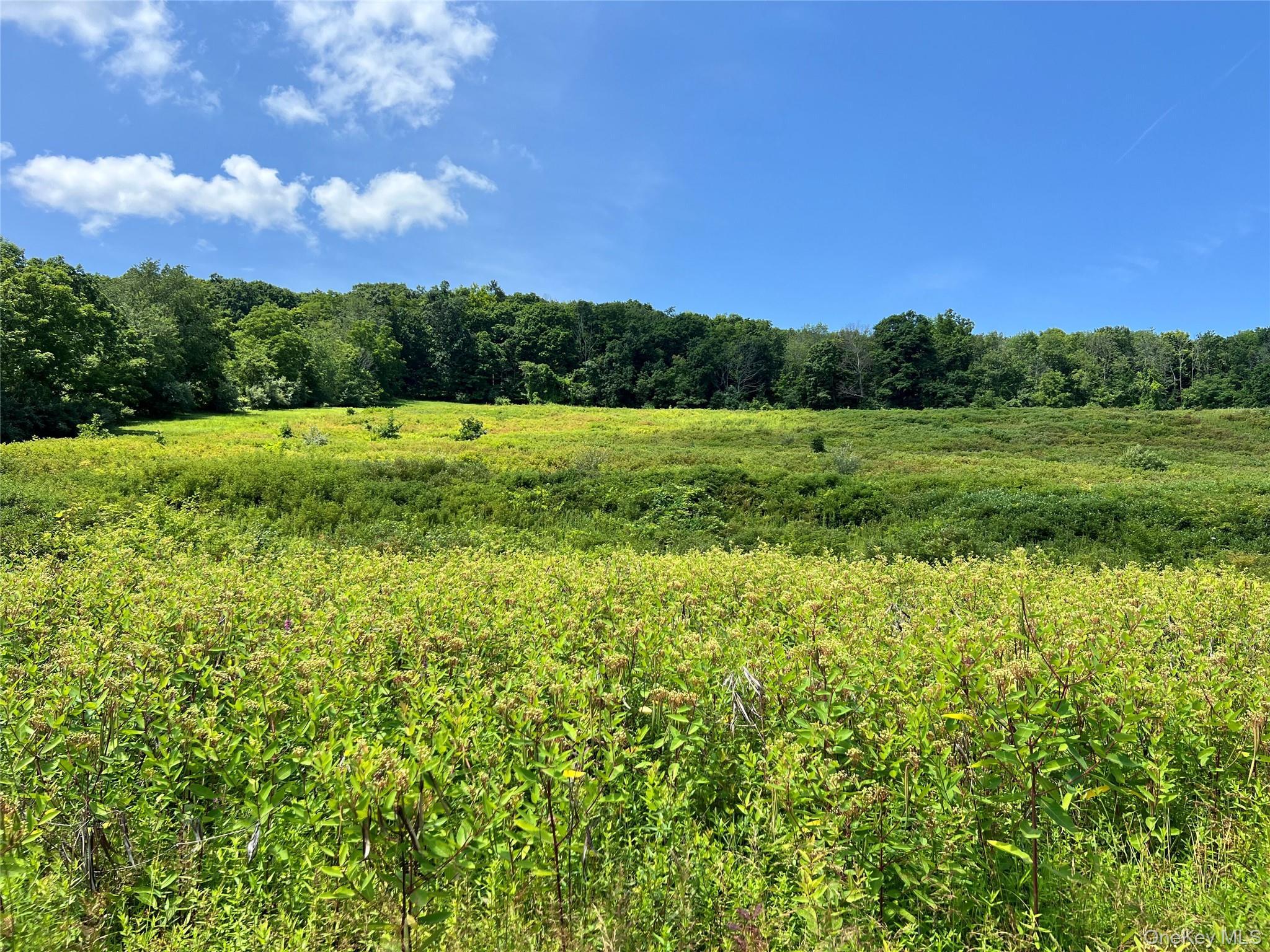 Single Family Mountain Road  Orange County, NY 12771, MLS-990552-8