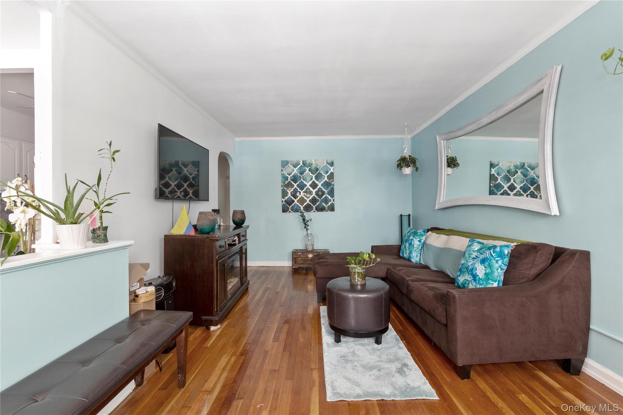 Single Family 164th Queens, NY 11358, MLS-990567-4