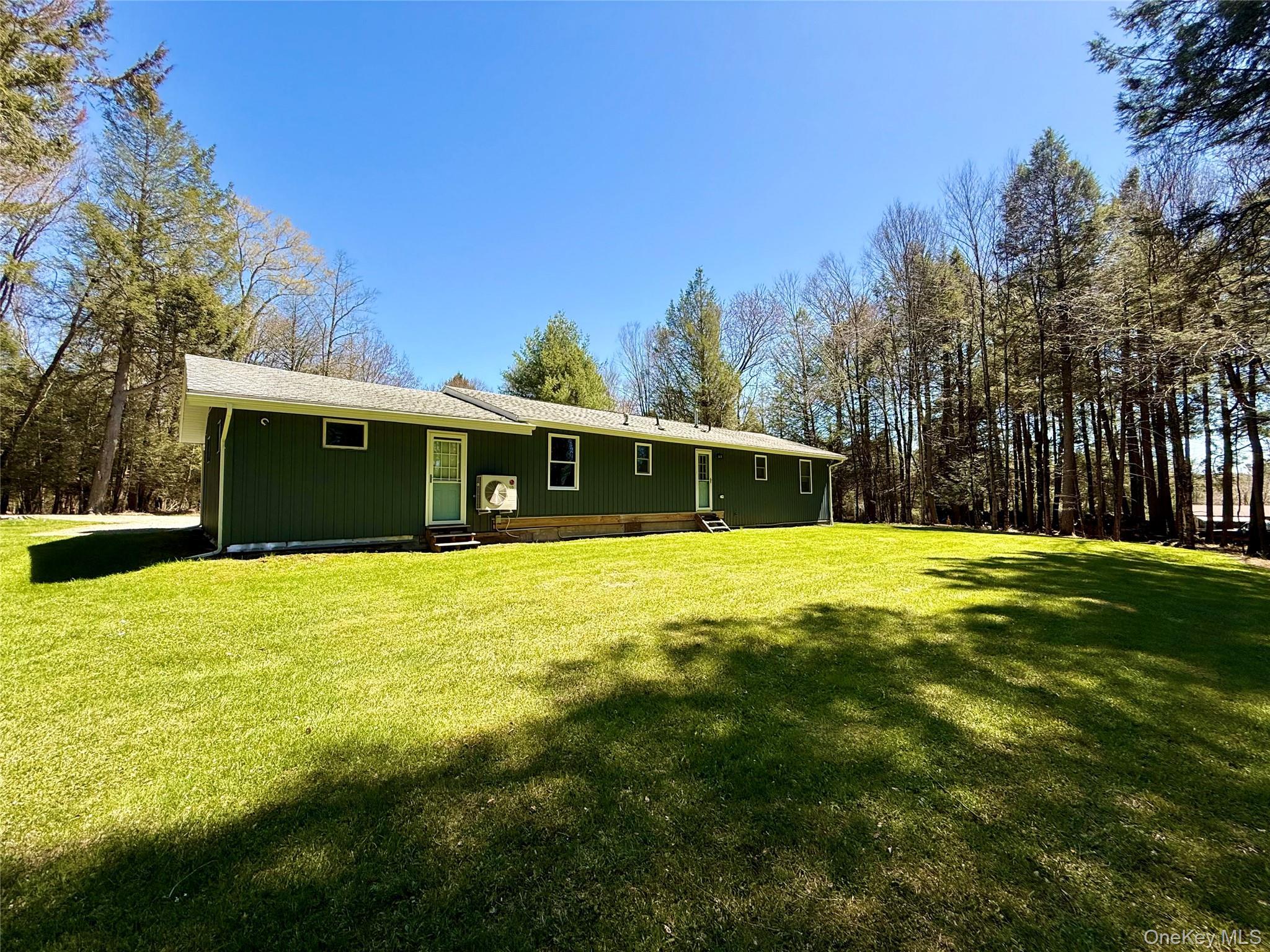 Single Family Pioneer Sullivan County, NY 12783, MLS-990614-2