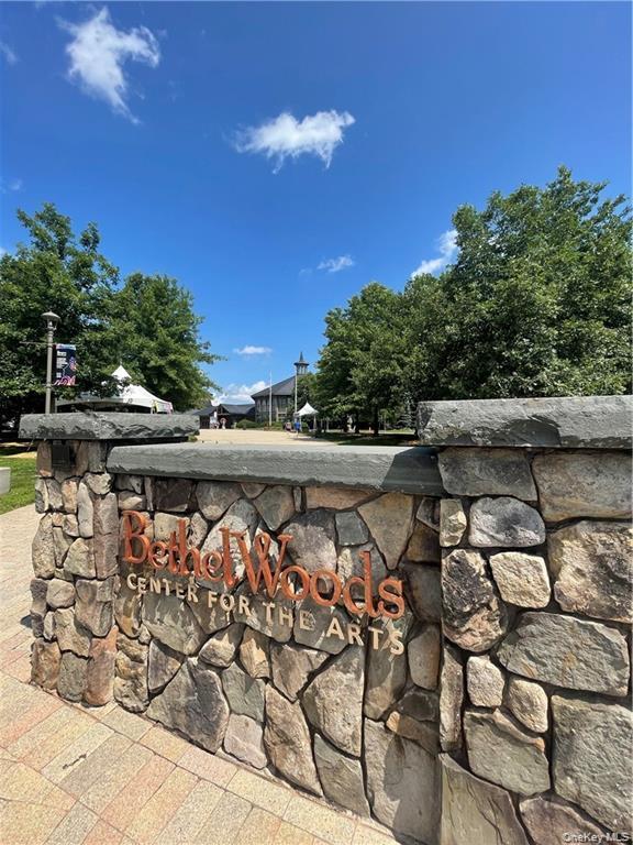 Single Family Pioneer Sullivan County, NY 12783, MLS-990614-28