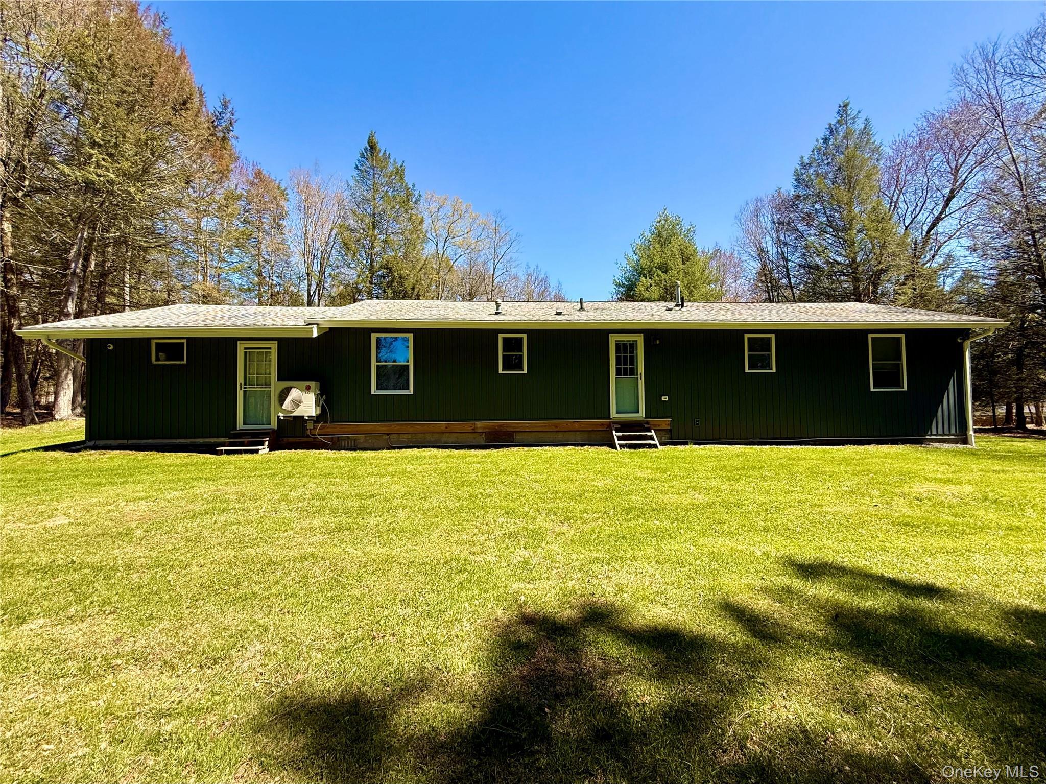 Single Family Pioneer Sullivan County, NY 12783, MLS-990614-3