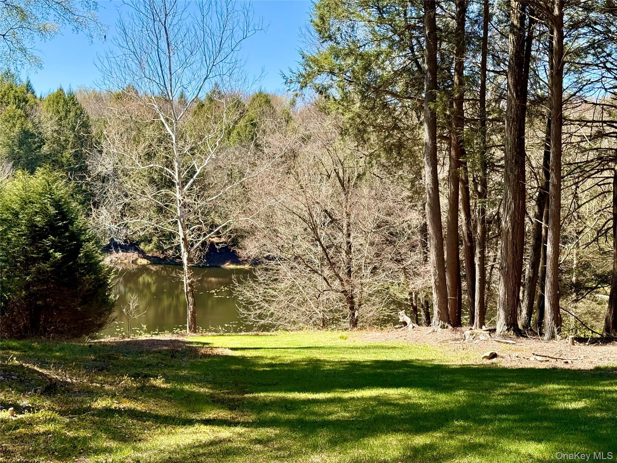 Single Family Pioneer Sullivan County, NY 12783, MLS-990614-4