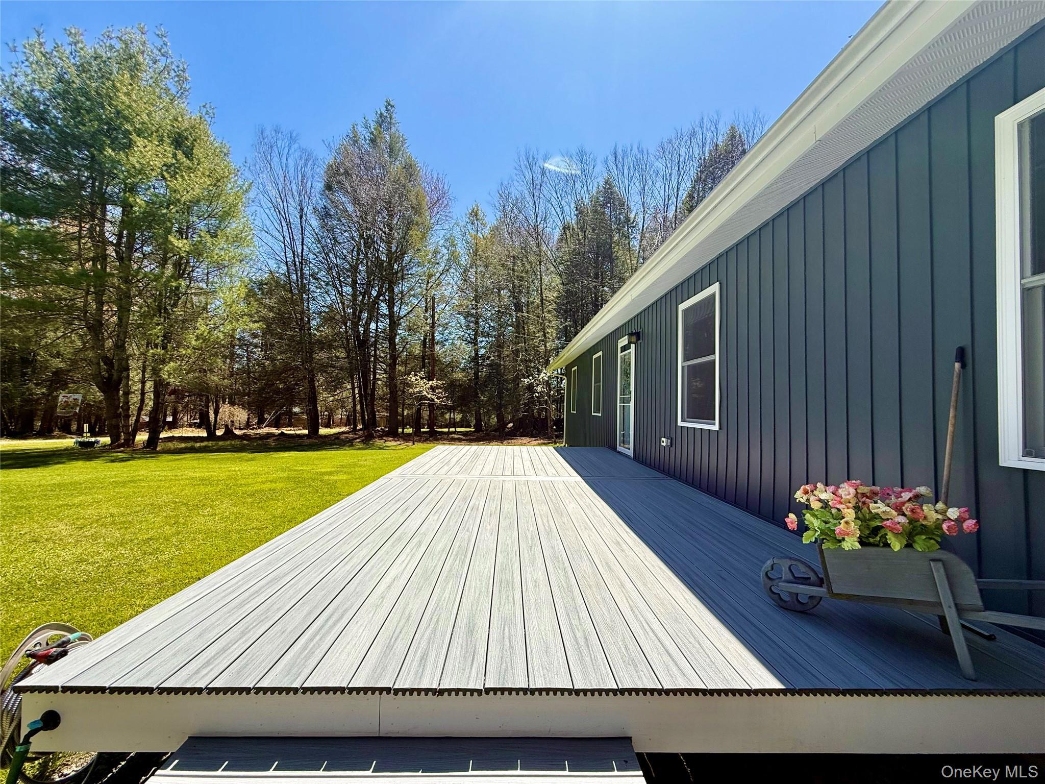 Single Family Pioneer Sullivan County, NY 12783, MLS-990614-6