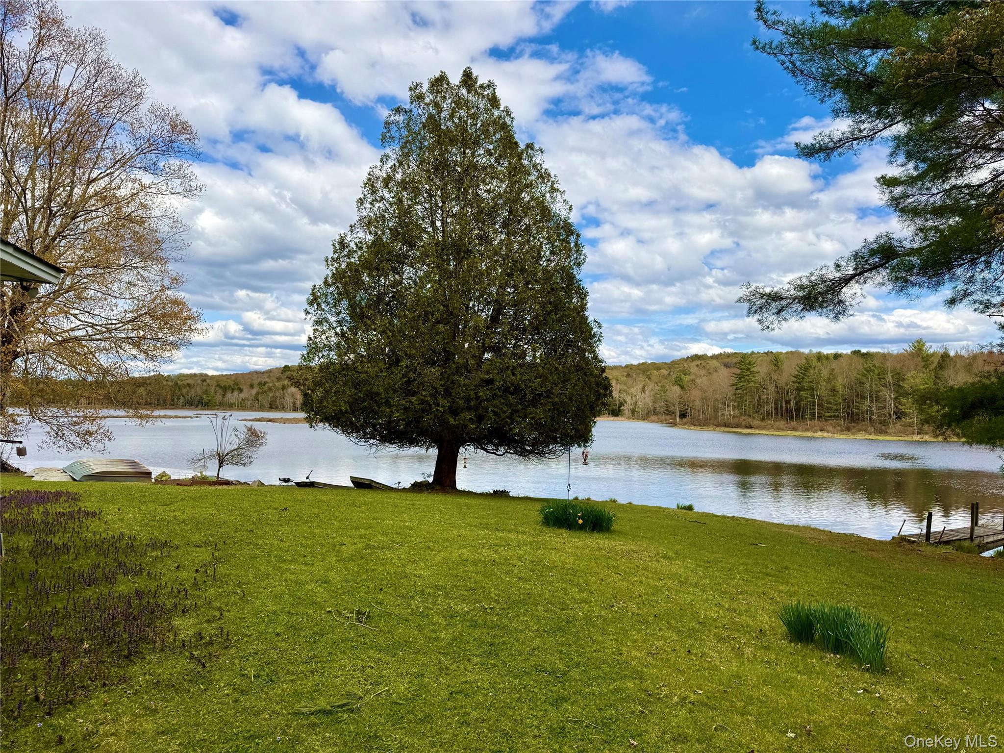 Single Family Pioneer Sullivan County, NY 12783, MLS-990614-8