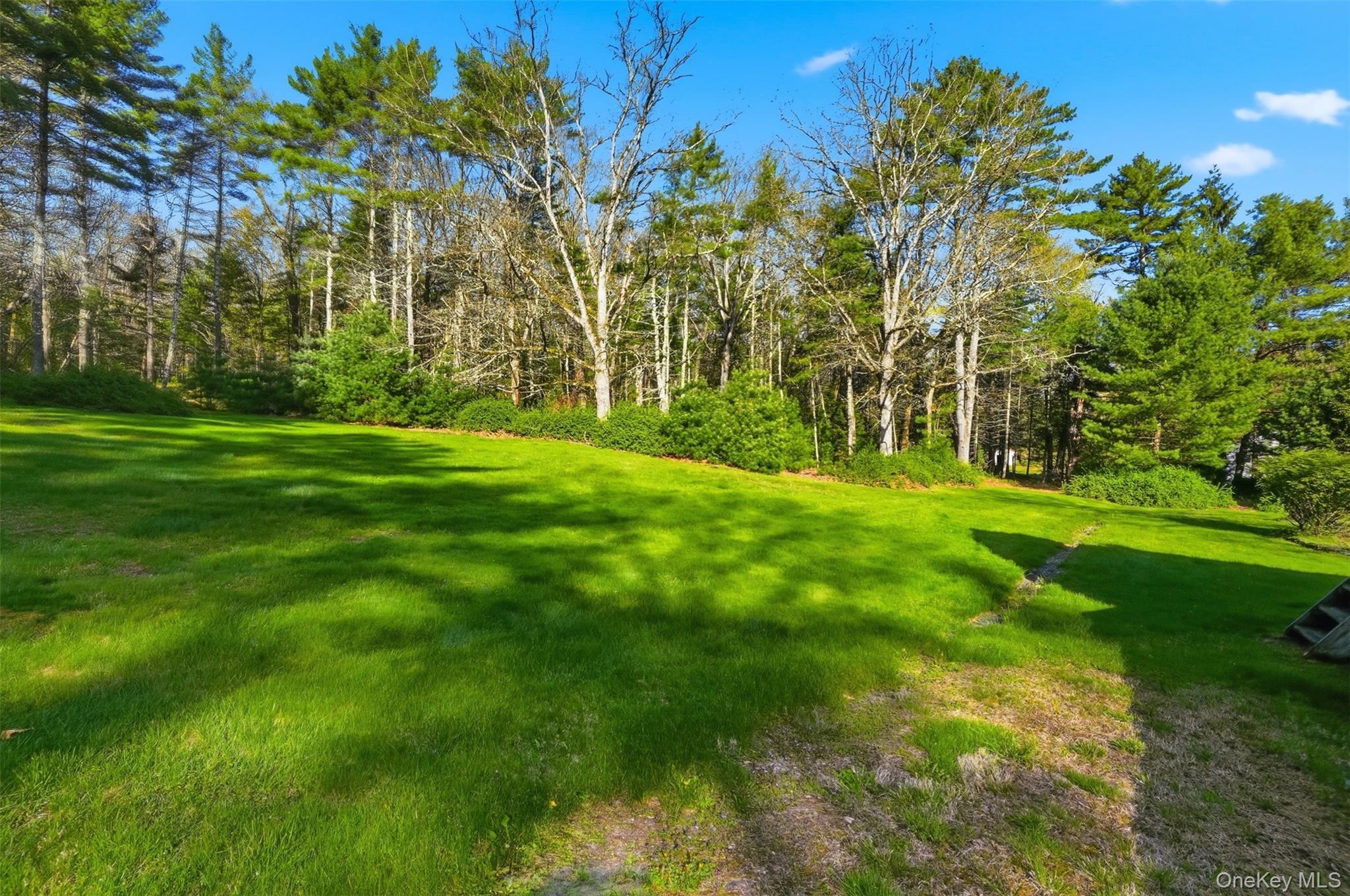 Single Family Proctor Sullivan County, NY 12732, MLS-990622-36