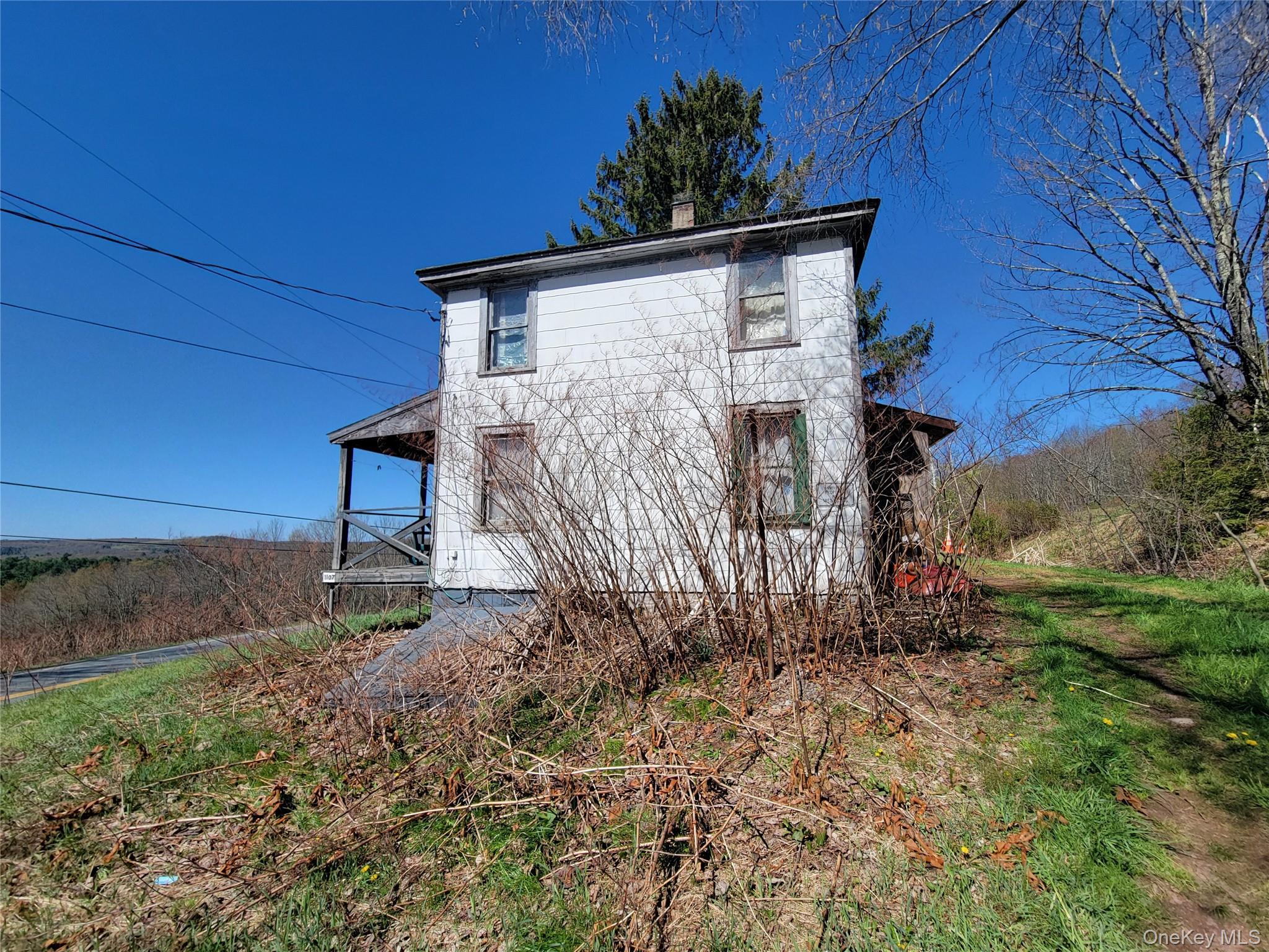 Single Family Briscoe  Sullivan County, NY 12783, MLS-990660-15
