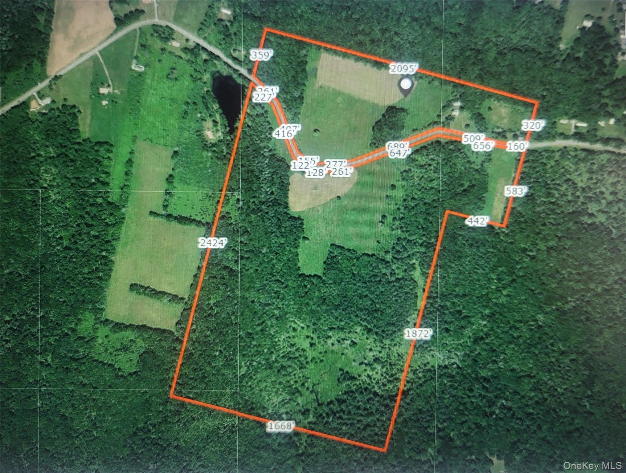 Single Family Briscoe  Sullivan County, NY 12783, MLS-990660-17