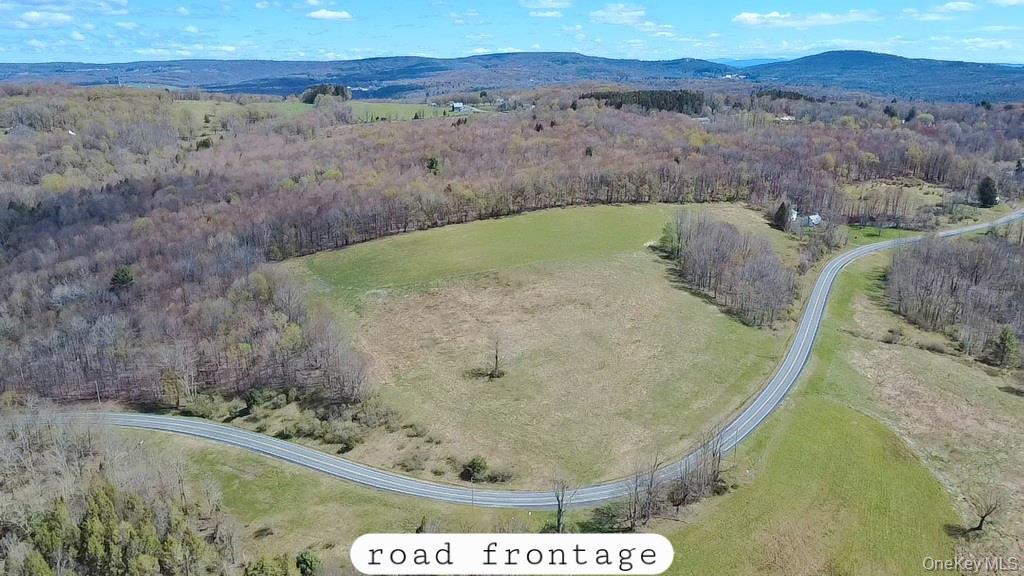 Single Family Briscoe  Sullivan County, NY 12783, MLS-990660-2