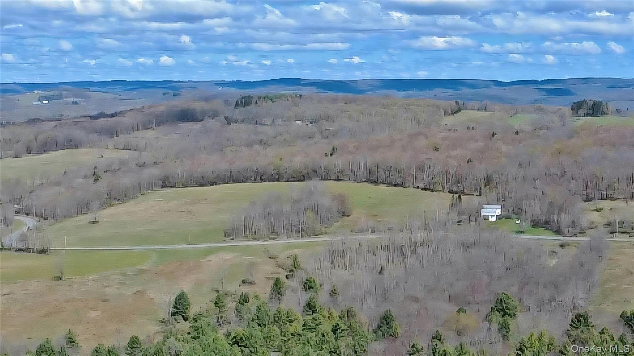 Single Family Briscoe  Sullivan County, NY 12783, MLS-990660-3