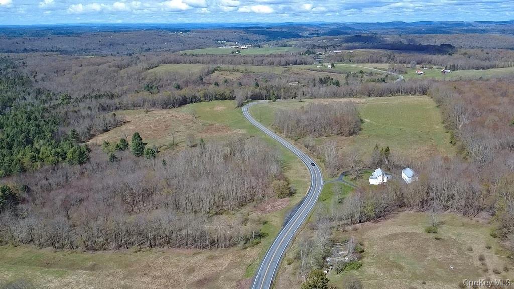 Single Family Briscoe  Sullivan County, NY 12783, MLS-990660-4