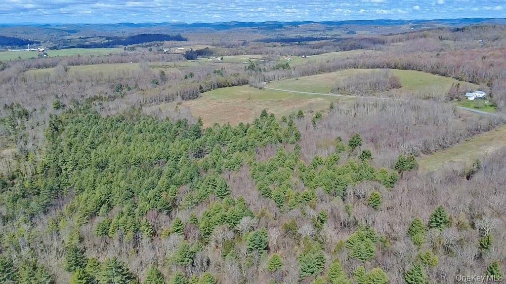 Single Family Briscoe  Sullivan County, NY 12783, MLS-990660-5
