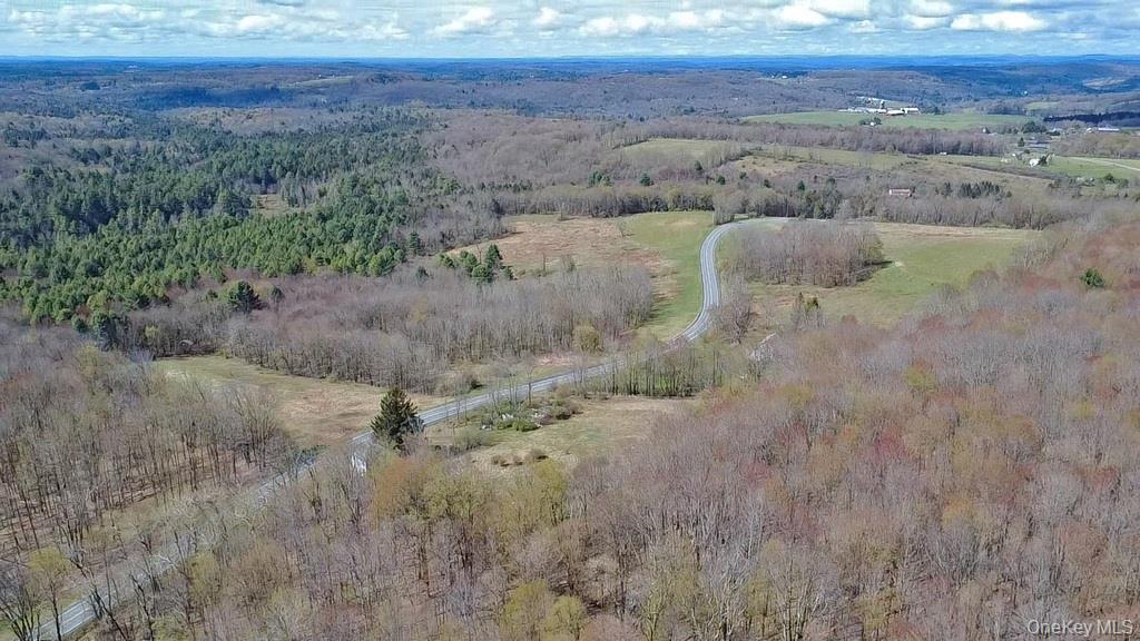 Single Family Briscoe  Sullivan County, NY 12783, MLS-990660-7