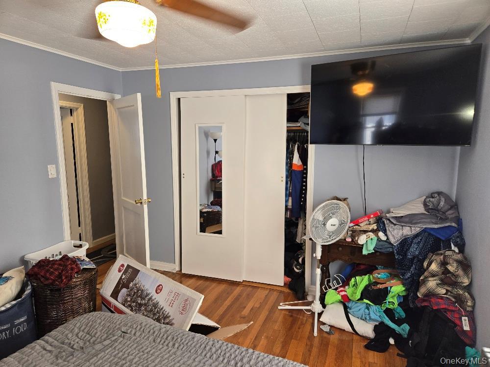 Single Family Carson  Nassau County, NY 11714, MLS-990681-13