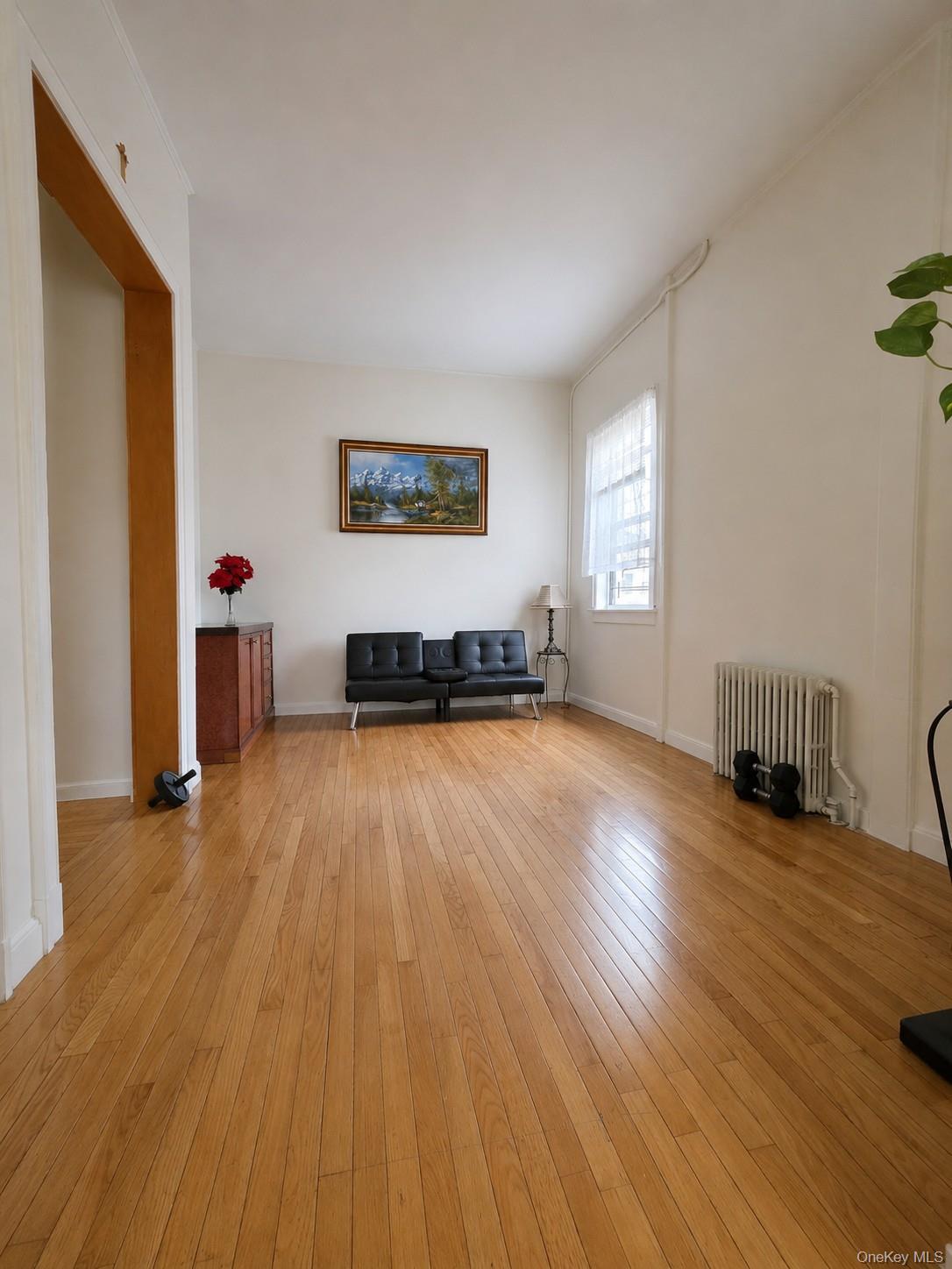 Single Family Arnold Avenue Queens, NY 11378, MLS-990773-12