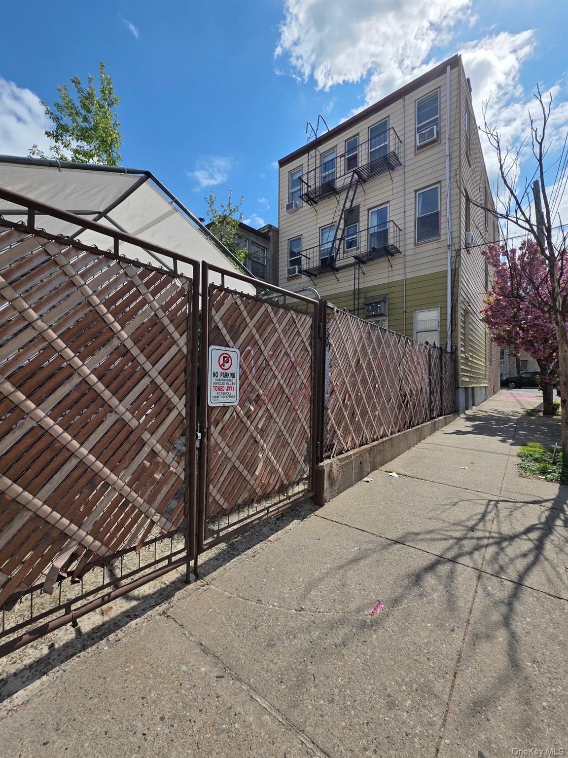 Single Family Arnold Avenue Queens, NY 11378, MLS-990773-3