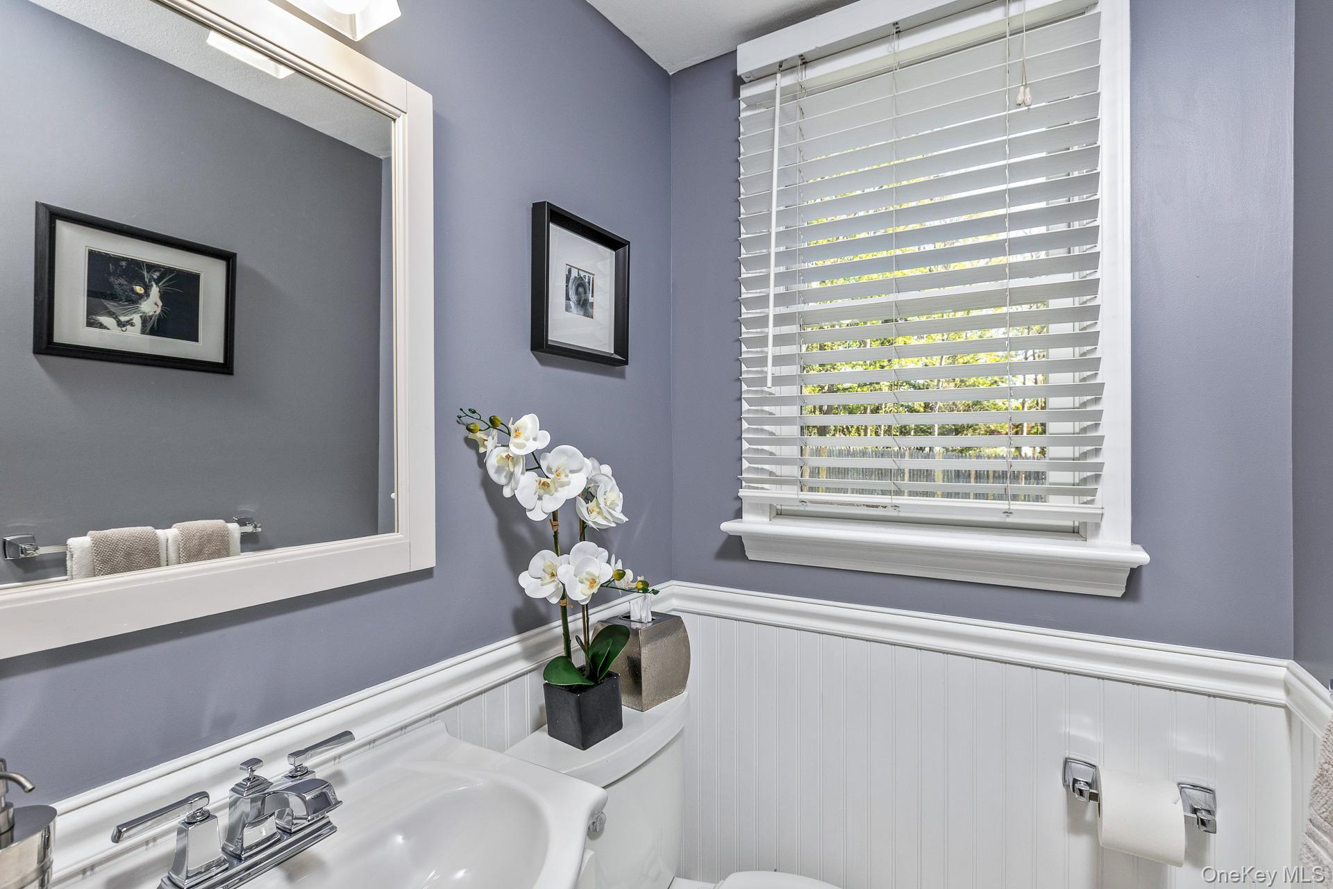 Single Family Regina  Suffolk County, NY 11746, MLS-990783-19